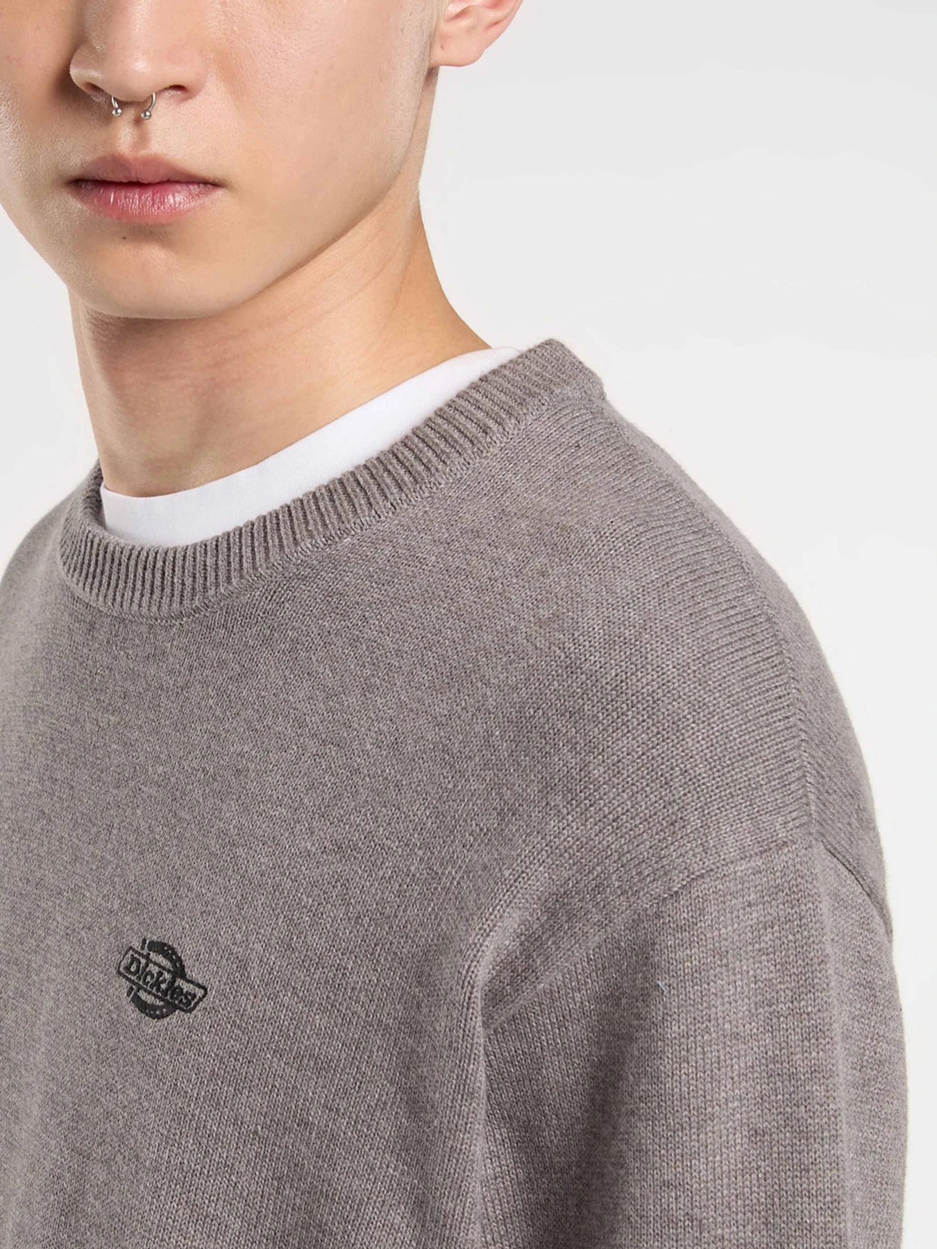 Светри та кардигани Dickies SUMMERDALE SWEATER модель DK0A87OPK631 Светри та кардигани Dickies SUMMERDALE SWEATER модель DK0A87OPK631 Фото