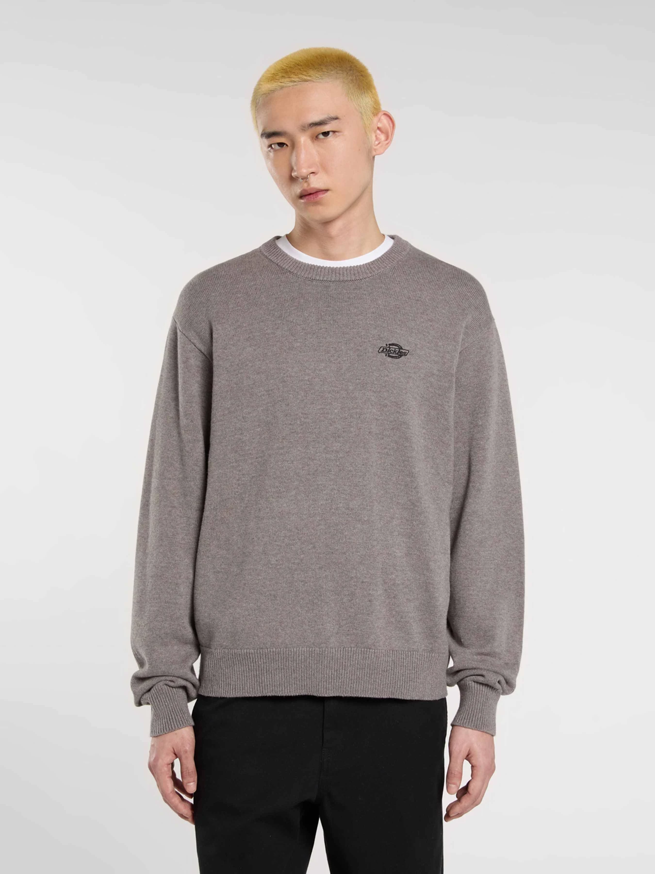 Светри та кардигани Dickies SUMMERDALE SWEATER модель DK0A87OPK631 Светри та кардигани Dickies SUMMERDALE SWEATER модель DK0A87OPK631 Фото