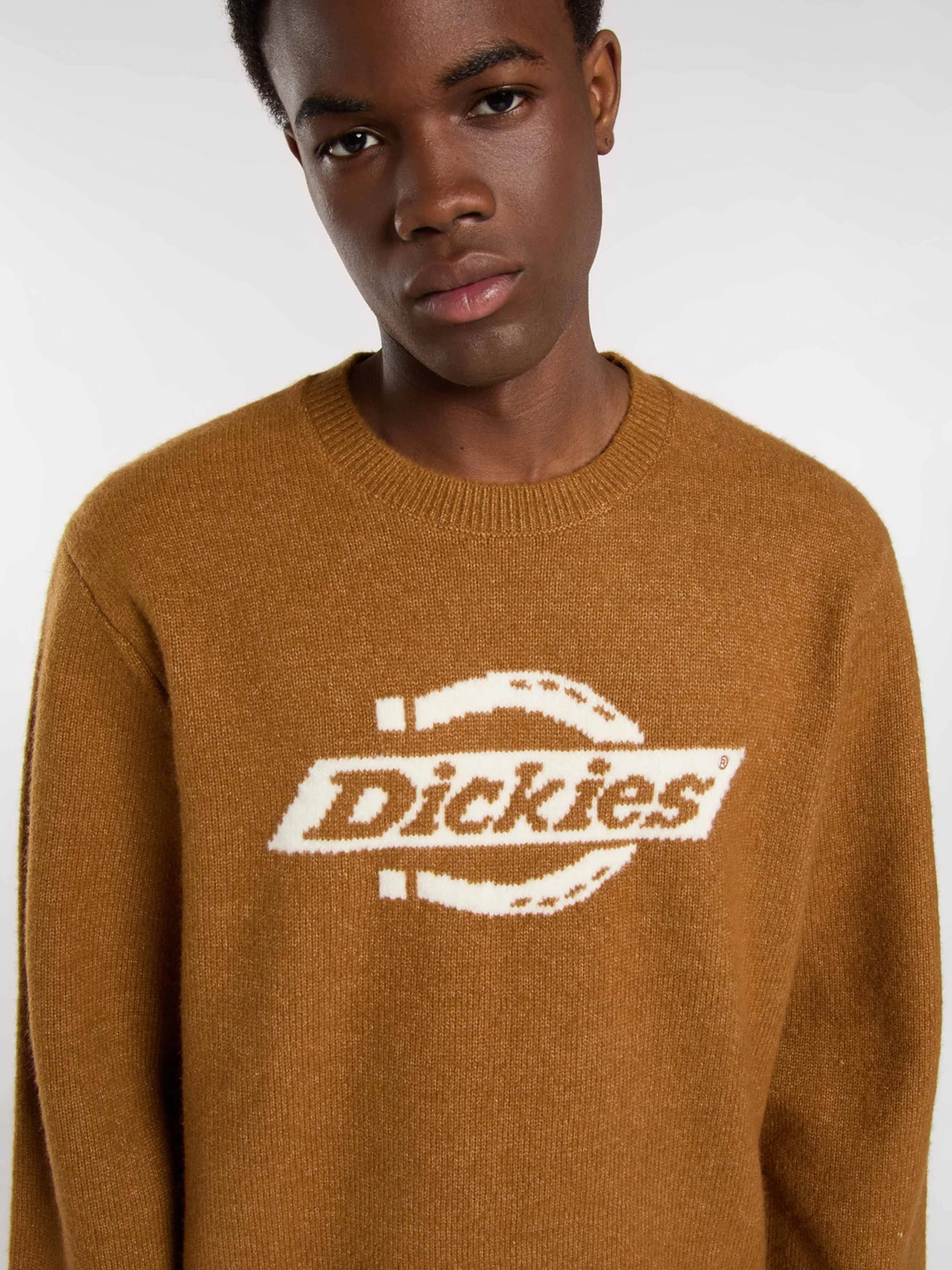 Свитры и кардиганы Dickies RUSTON SWEATER модель DK0A87OQ0BD1 Свитры и кардиганы Dickies RUSTON SWEATER модель DK0A87OQ0BD1 Фото