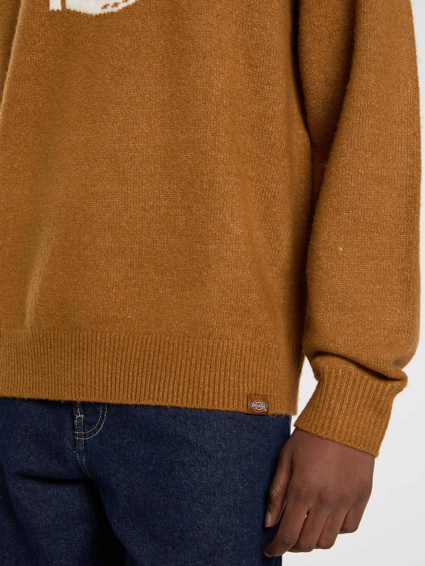Свитры и кардиганы Dickies RUSTON SWEATER модель DK0A87OQ0BD1 Свитры и кардиганы Dickies RUSTON SWEATER модель DK0A87OQ0BD1 Фото