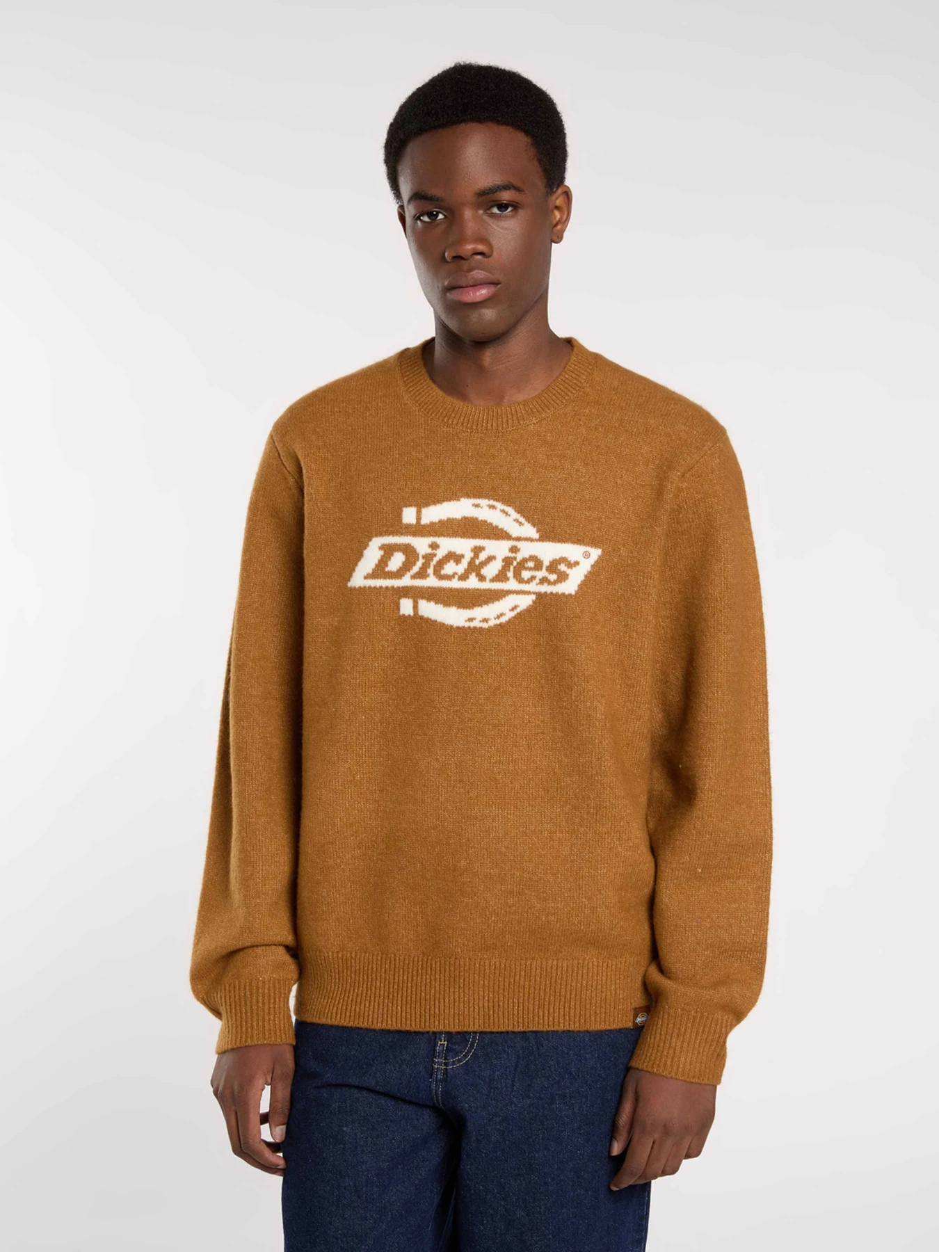 Свитры и кардиганы Dickies RUSTON SWEATER модель DK0A87OQ0BD1 Свитры и кардиганы Dickies RUSTON SWEATER модель DK0A87OQ0BD1 Фото