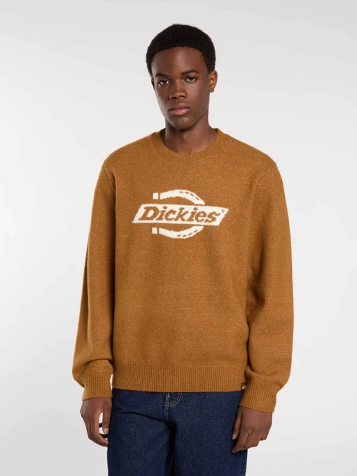 Светри та кардигани Dickies RUSTON SWEATER модель DK0A87OQ0BD1 Фото