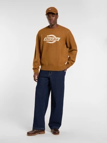 Свитры и кардиганы Dickies RUSTON SWEATER модель DK0A87OQ0BD1 Фото