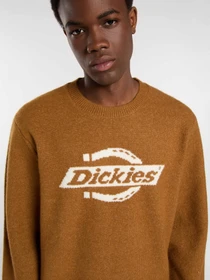 Свитры и кардиганы Dickies RUSTON SWEATER модель DK0A87OQ0BD1 Фото