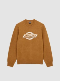 Свитры и кардиганы Dickies RUSTON SWEATER модель DK0A87OQ0BD1 Фото