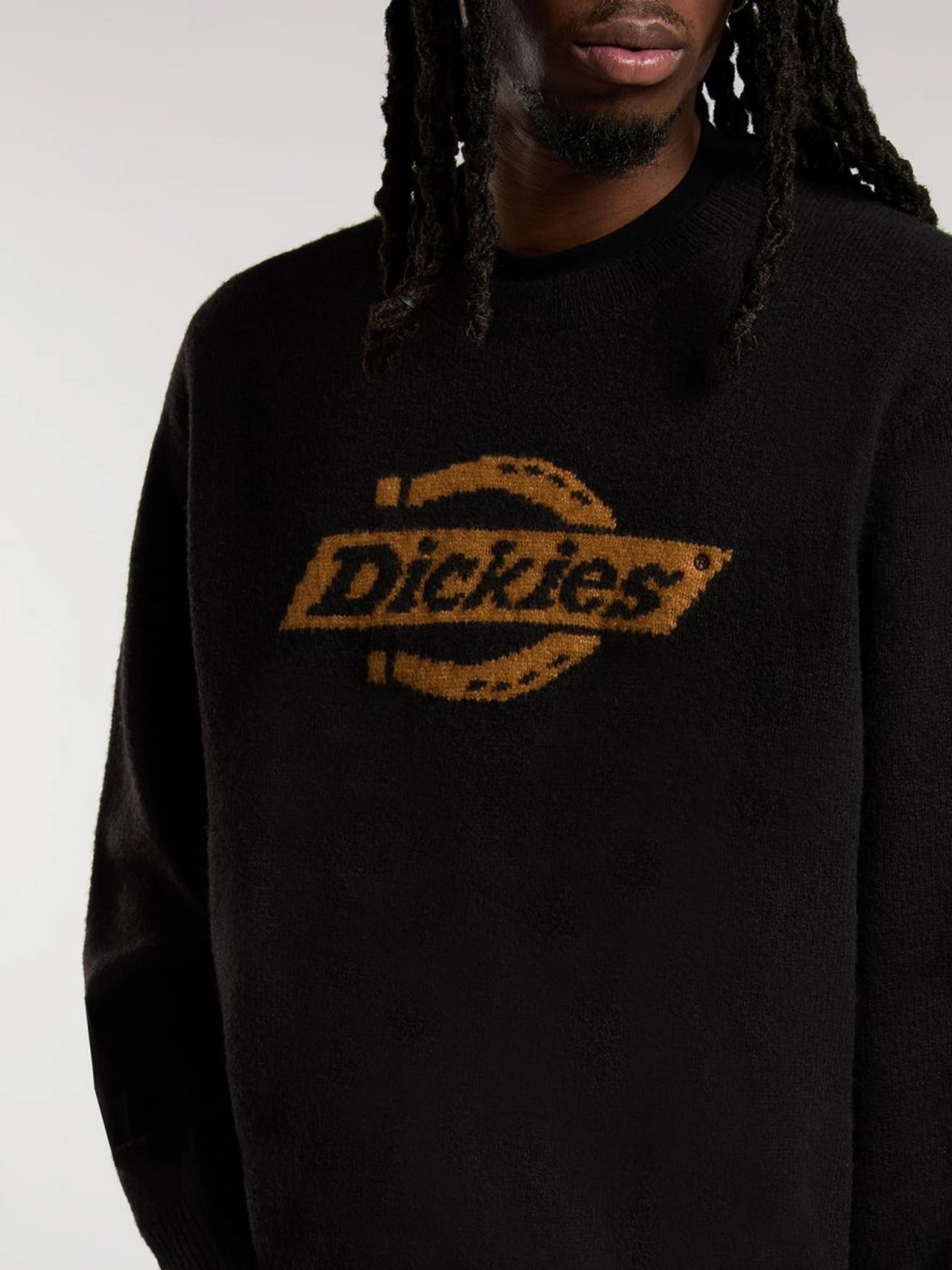 Свитры и кардиганы Dickies RUSTON SWEATER модель DK0A87OQBLK1 Свитры и кардиганы Dickies RUSTON SWEATER модель DK0A87OQBLK1 Фото