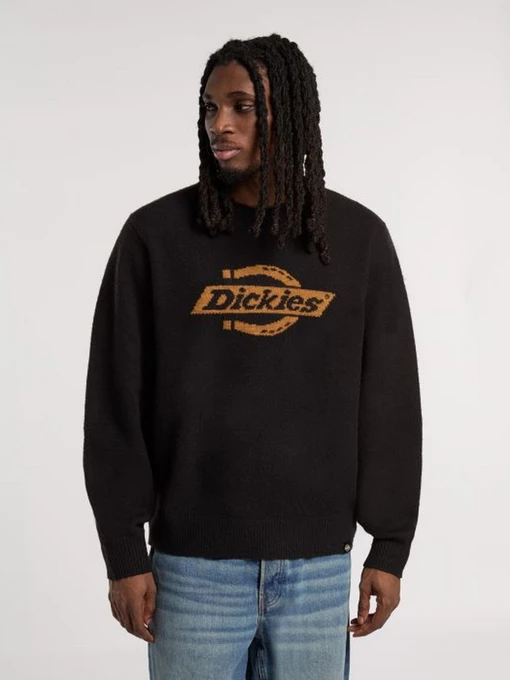 Светри та кардигани Dickies RUSTON SWEATER модель DK0A87OQBLK1 Фото