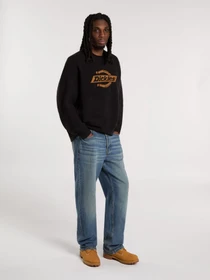 Свитры и кардиганы Dickies RUSTON SWEATER модель DK0A87OQBLK1 Фото