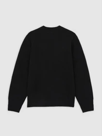 Свитры и кардиганы Dickies RUSTON SWEATER модель DK0A87OQBLK1 Фото