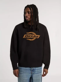Светри та кардигани Dickies RUSTON SWEATER модель DK0A87OQBLK1 Фото