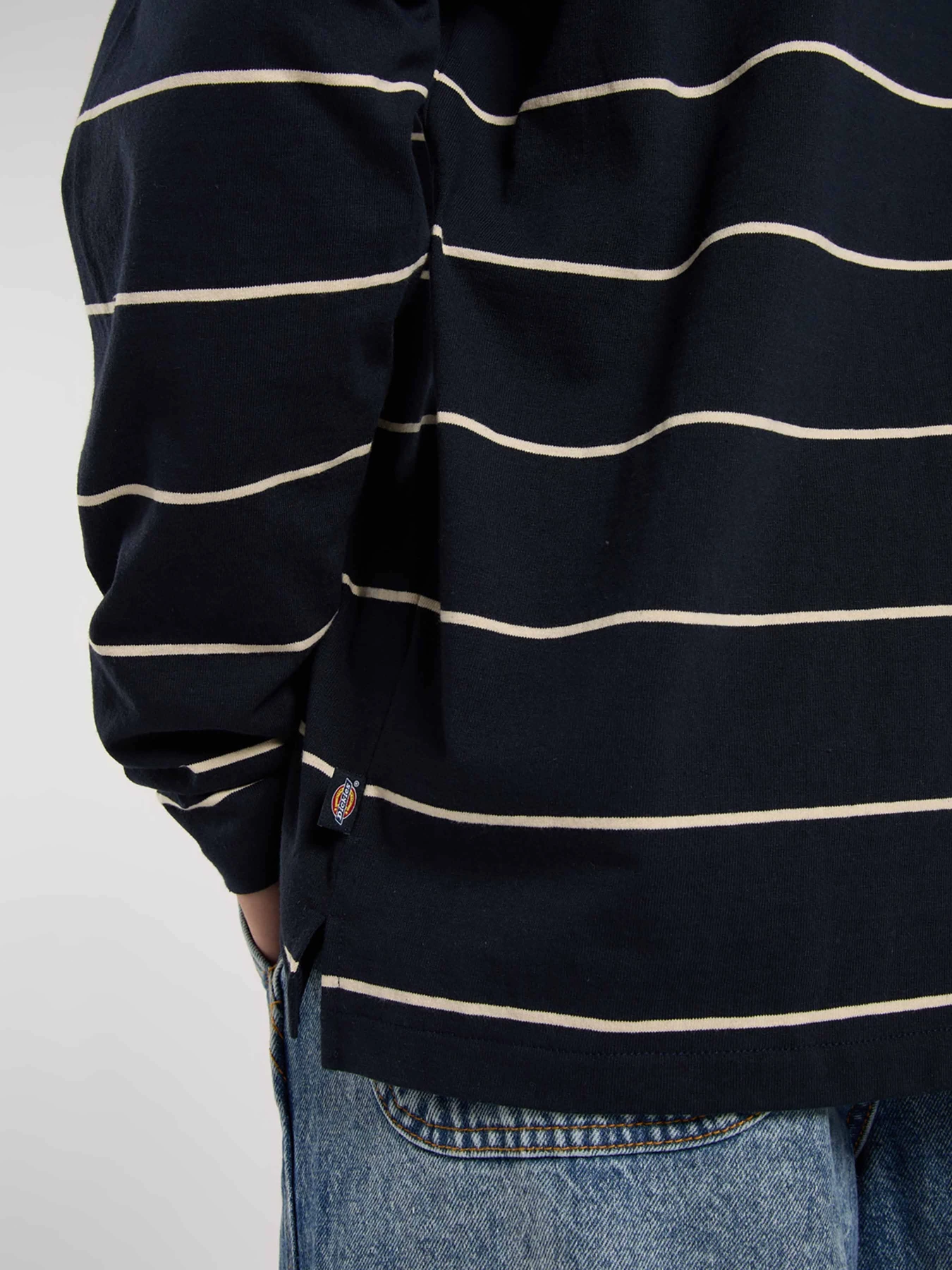 Худи и свитшоты Dickies Summerdale Rugby модель DK0A87Q8L181 Худи и свитшоты Dickies Summerdale Rugby модель DK0A87Q8L181 Фото
