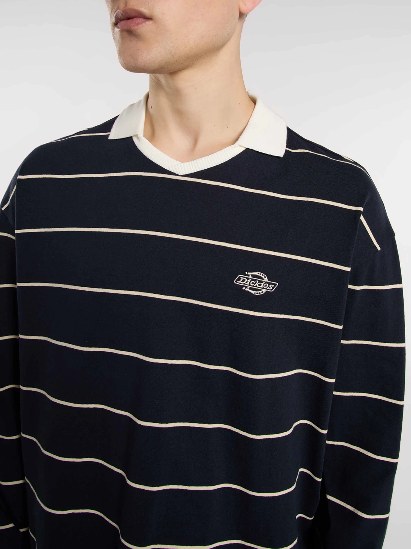 Худи и свитшоты Dickies Summerdale Rugby модель DK0A87Q8L181 Худи и свитшоты Dickies Summerdale Rugby модель DK0A87Q8L181 Фото