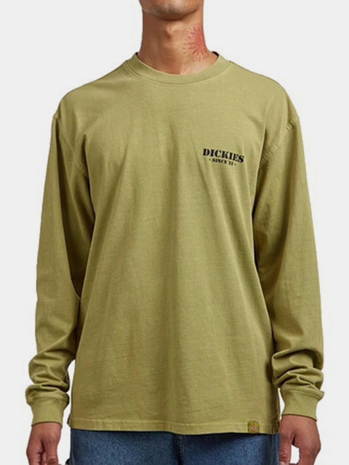 Худи и свитшоты Dickies HARBOUR модель DK0A87QFL201 Худи и свитшоты Dickies HARBOUR модель DK0A87QFL201 Фото