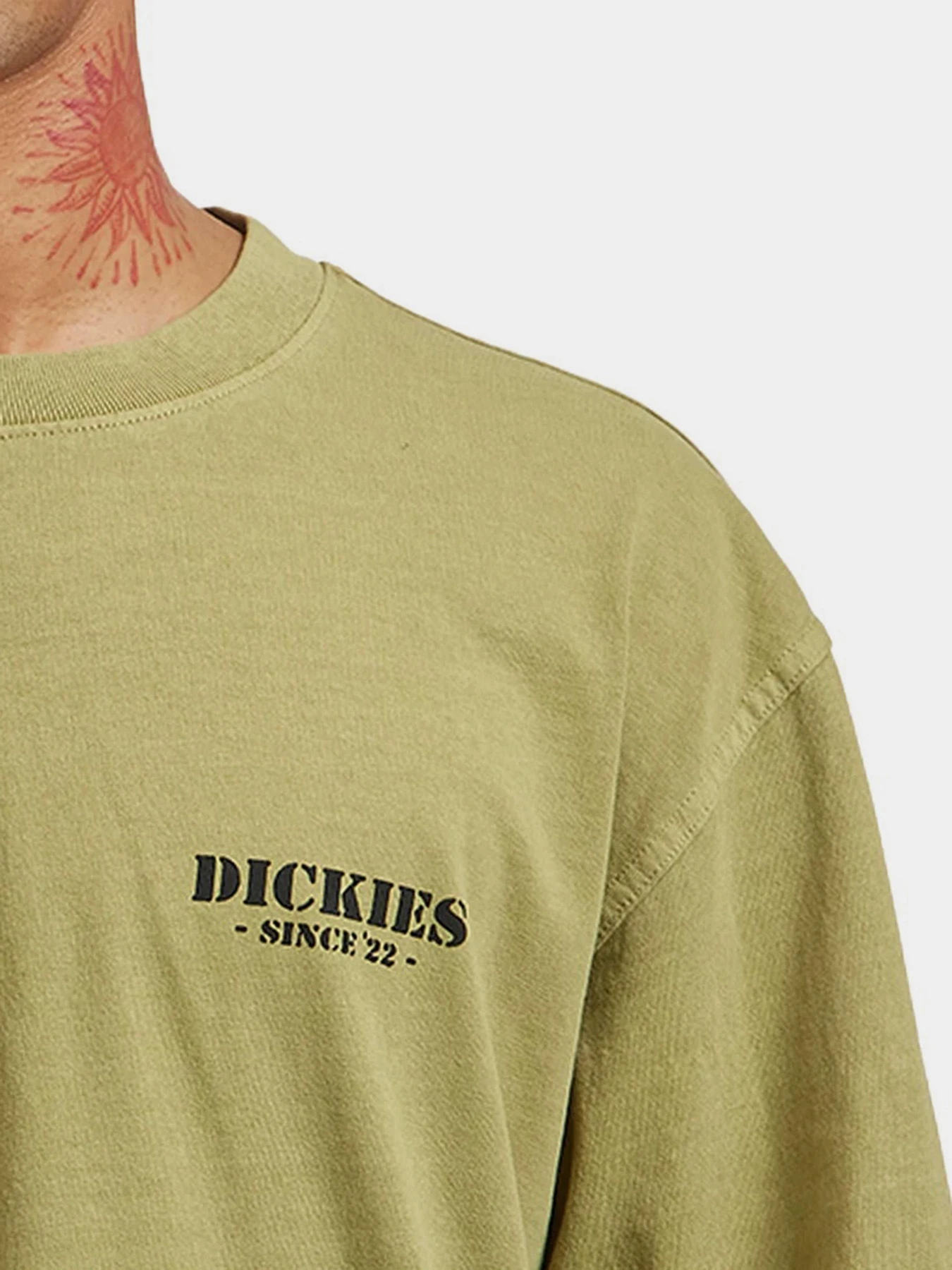 Худи и свитшоты Dickies HARBOUR модель DK0A87QFL201 Худи и свитшоты Dickies HARBOUR модель DK0A87QFL201 Фото