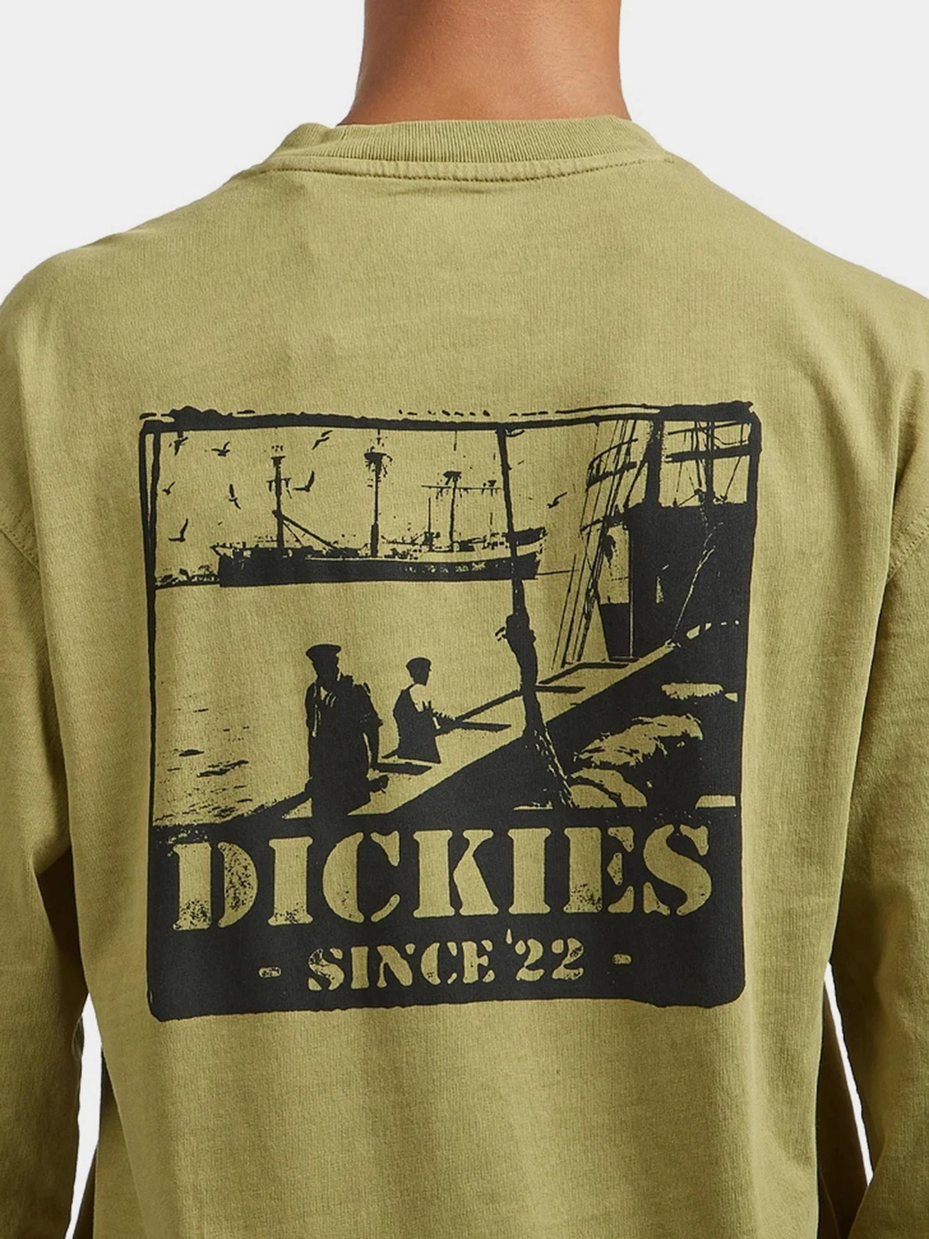 Худи и свитшоты Dickies HARBOUR модель DK0A87QFL201 Худи и свитшоты Dickies HARBOUR модель DK0A87QFL201 Фото