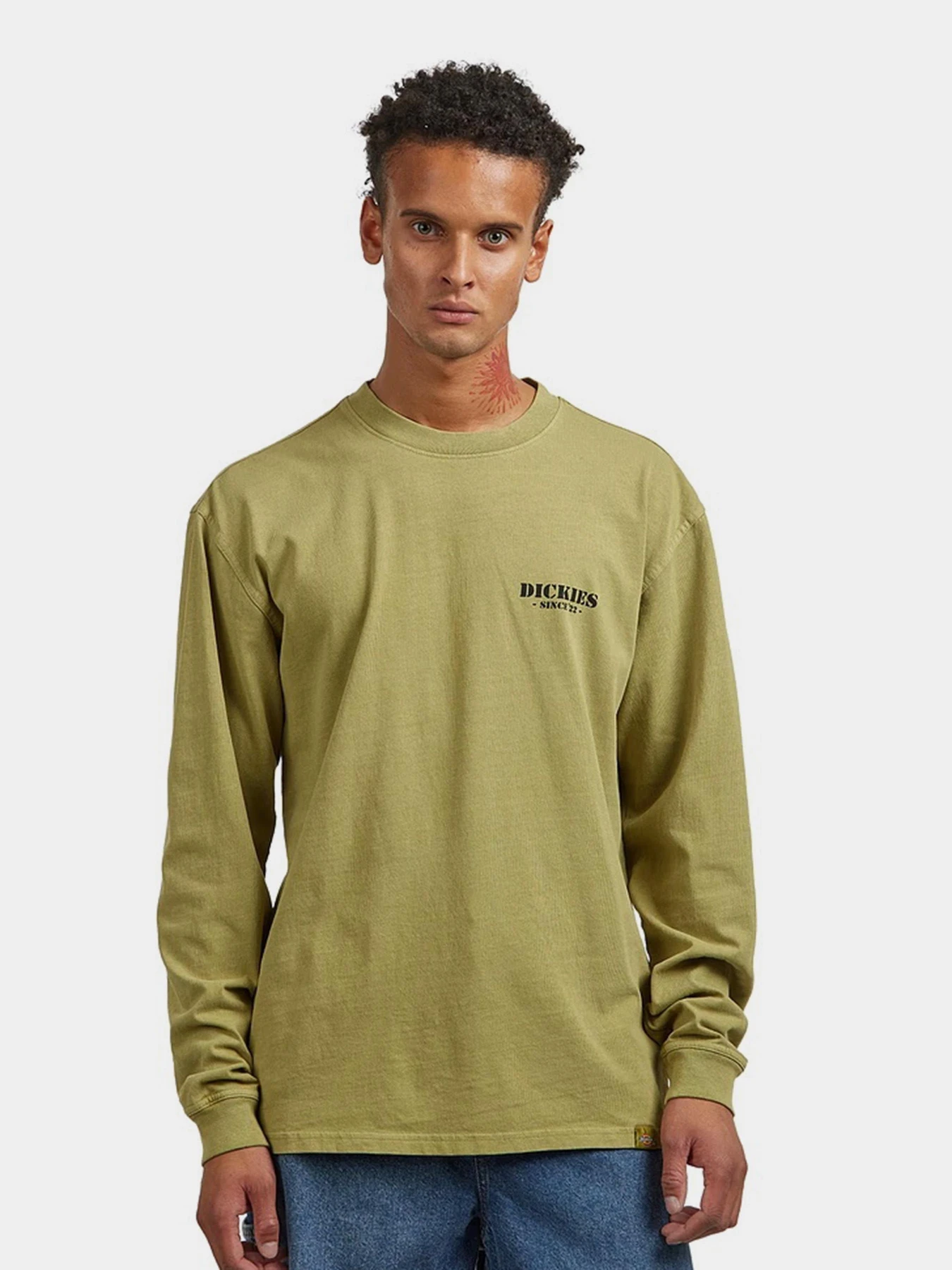 Худи и свитшоты Dickies HARBOUR модель DK0A87QFL201 Худи и свитшоты Dickies HARBOUR модель DK0A87QFL201 Фото