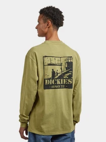 Худи и свитшоты Dickies HARBOUR модель DK0A87QFL201 Фото
