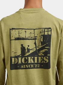 Худи и свитшоты Dickies HARBOUR модель DK0A87QFL201 Фото