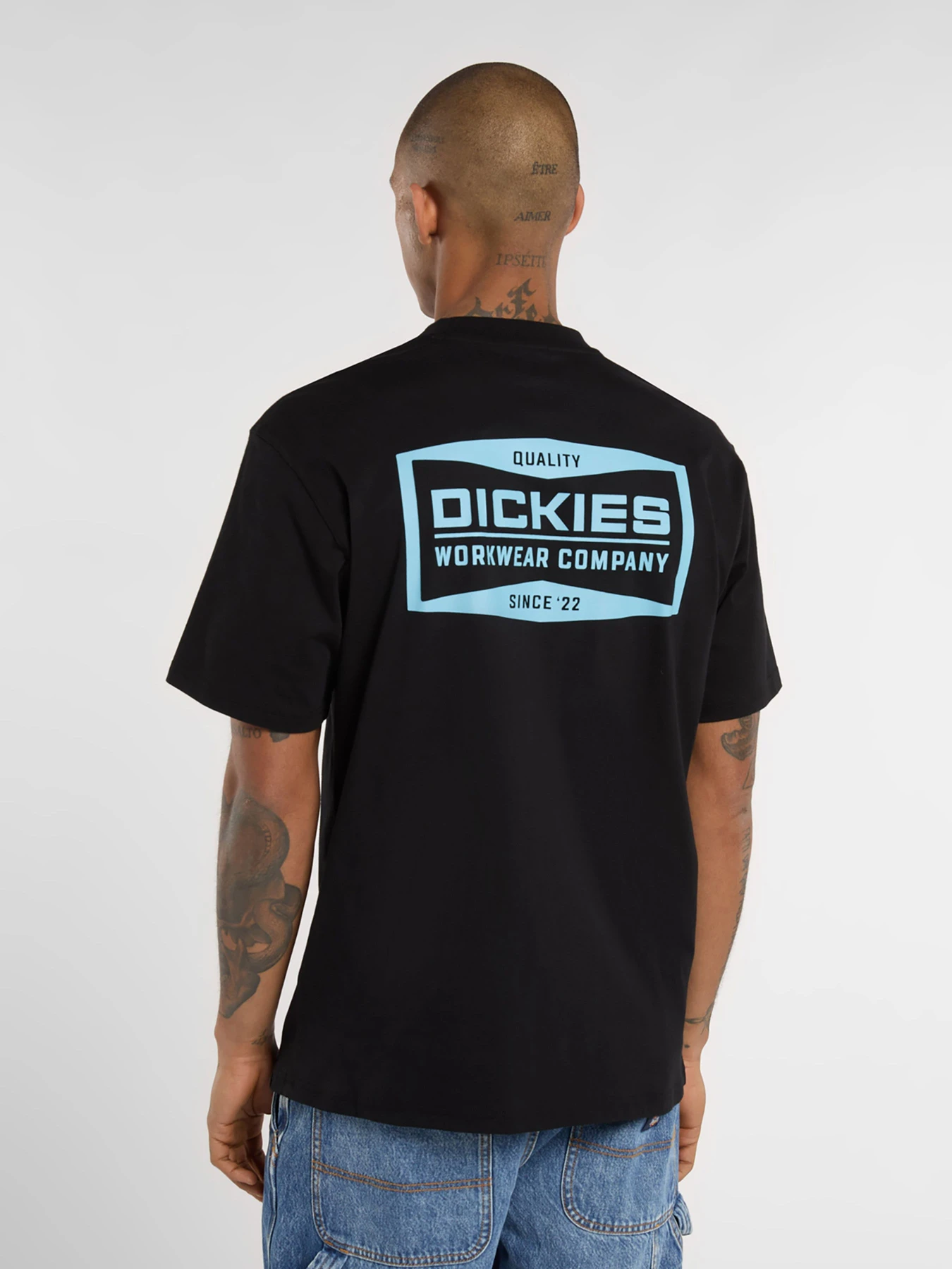 Футболки и поло Dickies BOLIVAR модель DK0A87QKBLK1 Фото