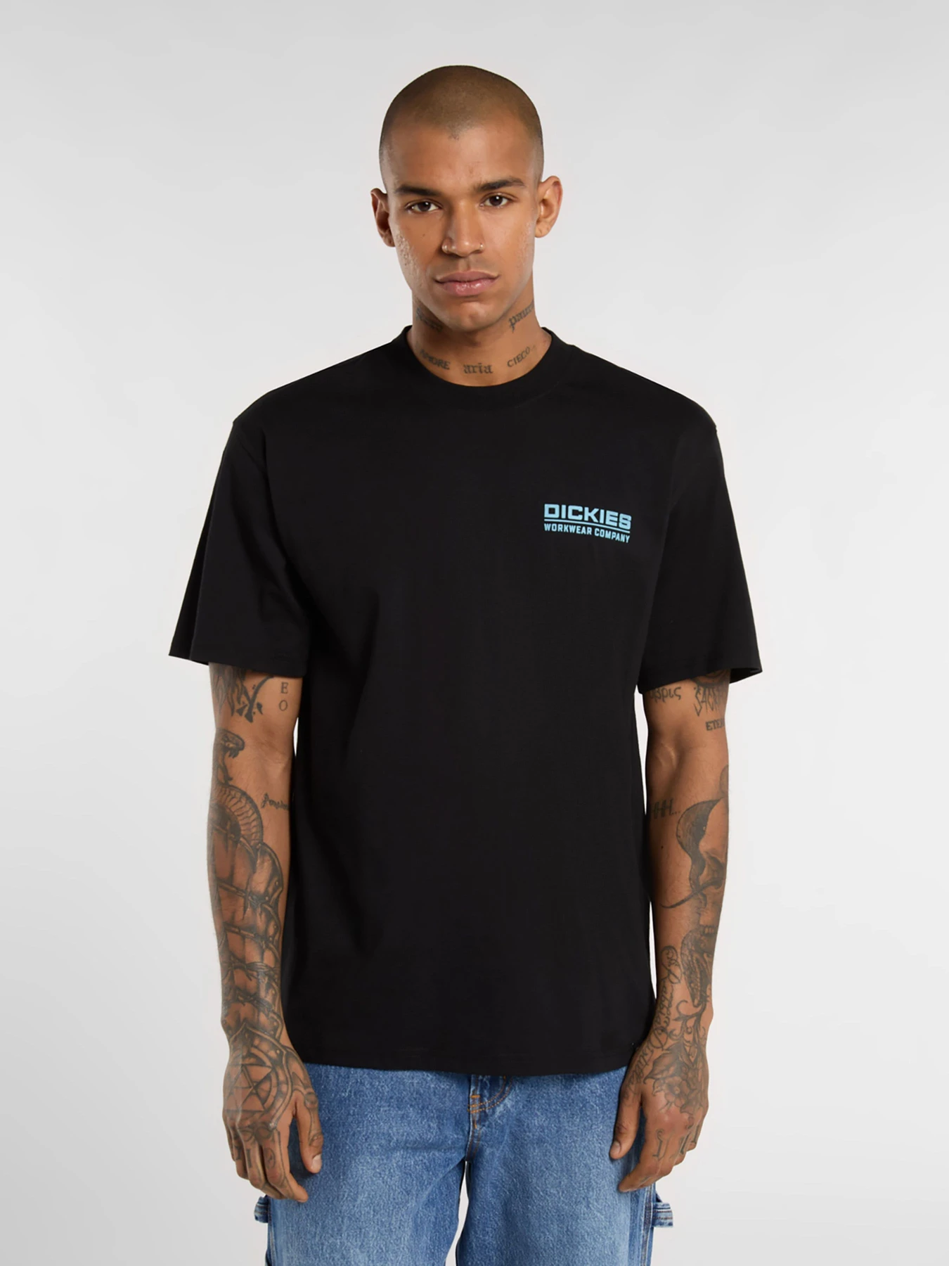 Футболки и поло Dickies BOLIVAR модель DK0A87QKBLK1 Фото