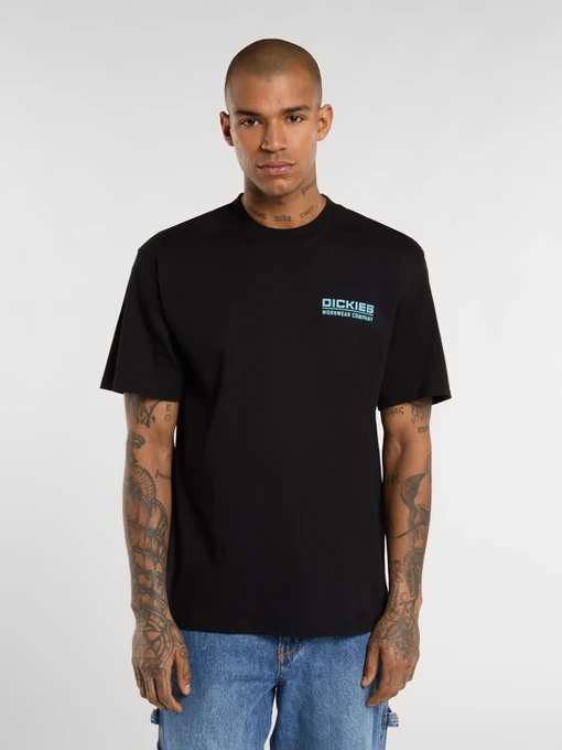Футболки і поло Dickies BOLIVAR модель DK0A87QKBLK1 Фото