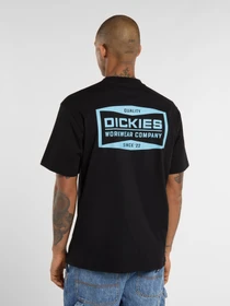 Футболки и поло Dickies BOLIVAR модель DK0A87QKBLK1 Фото
