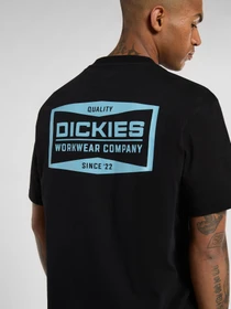 Футболки и поло Dickies BOLIVAR модель DK0A87QKBLK1 Фото