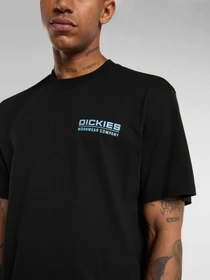 Футболки и поло Dickies BOLIVAR модель DK0A87QKBLK1 Фото