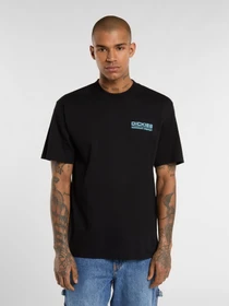 Футболки и поло Dickies BOLIVAR модель DK0A87QKBLK1 Фото