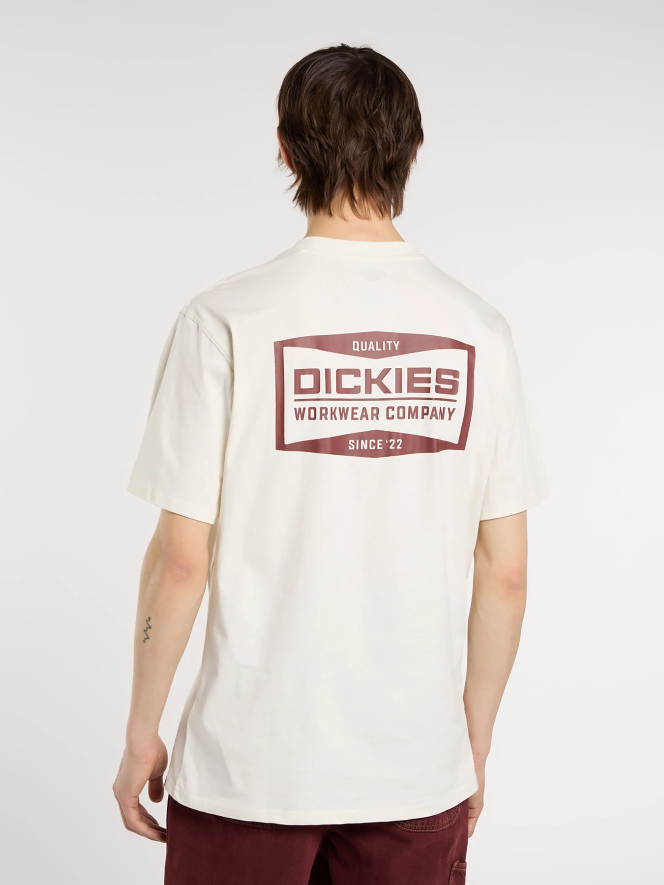 Футболки і поло Dickies BOLIVAR модель DK0A87QKC481 Фото