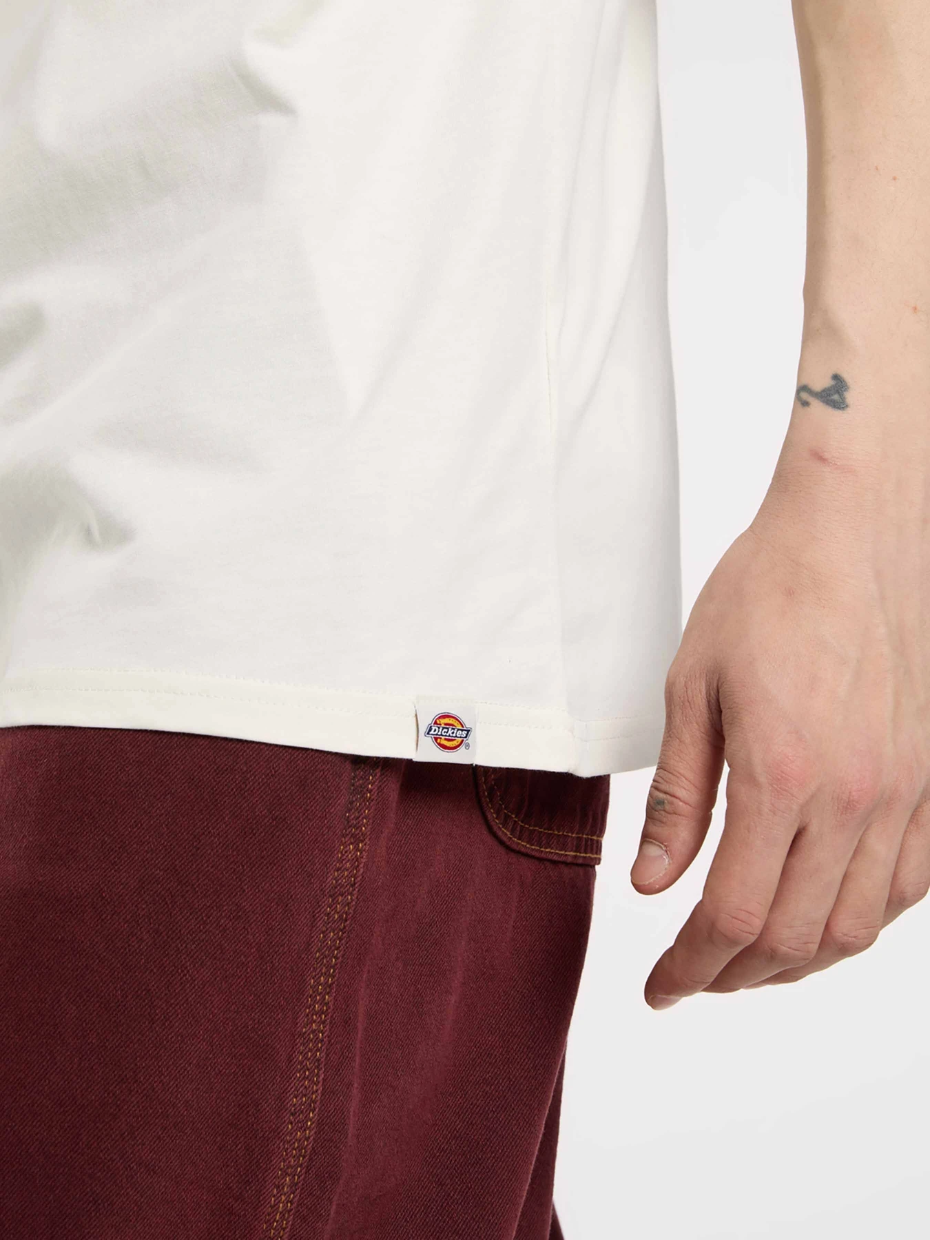 Футболки і поло Dickies BOLIVAR модель DK0A87QKC481 Фото