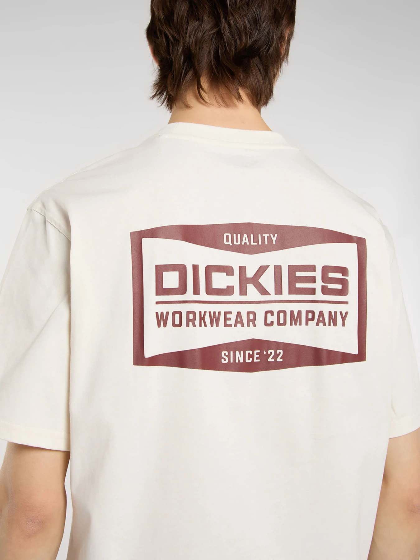 Футболки і поло Dickies BOLIVAR модель DK0A87QKC481 Фото