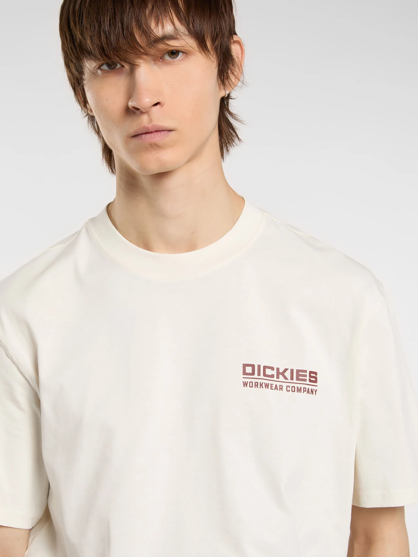 Футболки і поло Dickies BOLIVAR модель DK0A87QKC481 Фото