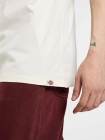 Футболки і поло Dickies BOLIVAR модель DK0A87QKC481 Фото