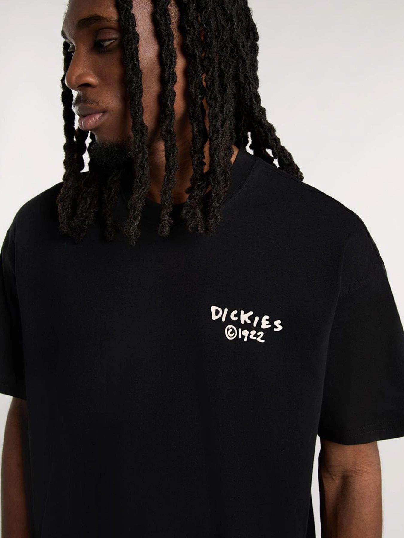 Футболки і поло Dickies Sneedville модель DK0A87QOBLK1 Фото