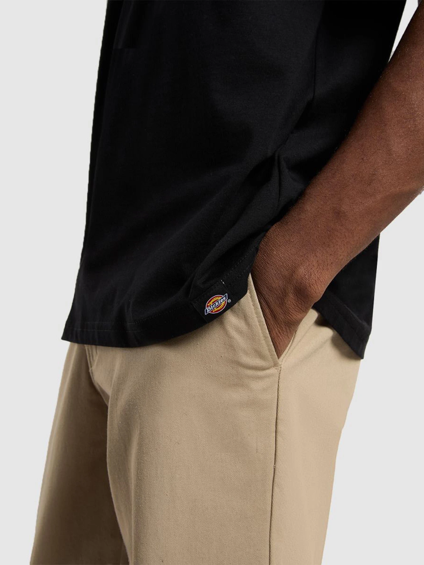 Футболки і поло Dickies Sneedville модель DK0A87QOBLK1 Фото
