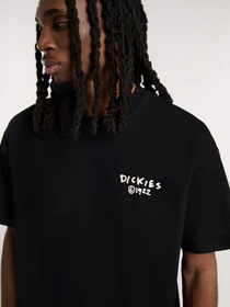 Футболки і поло Dickies Sneedville модель DK0A87QOBLK1 Фото