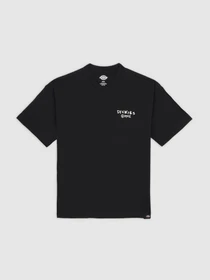Футболки і поло Dickies Sneedville модель DK0A87QOBLK1 Фото