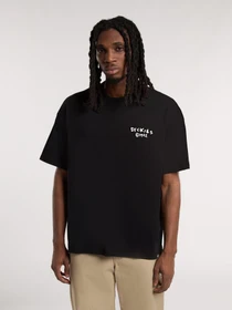 Футболки і поло Dickies Sneedville модель DK0A87QOBLK1 Фото