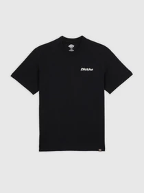 Футболки и поло Dickies модель DK0A87QPBLK1 Фото