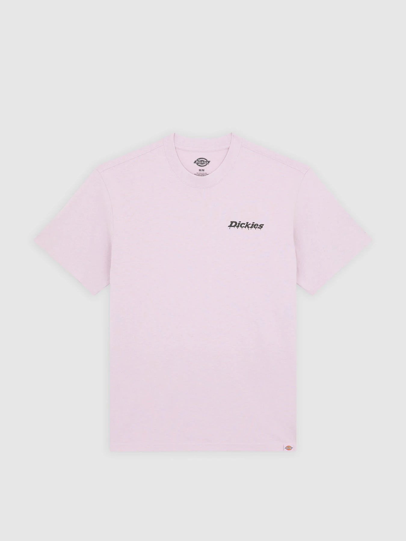 Футболки и поло Dickies STATESVILLE модель DK0A87QPK731 Футболки и поло Dickies STATESVILLE модель DK0A87QPK731 Фото