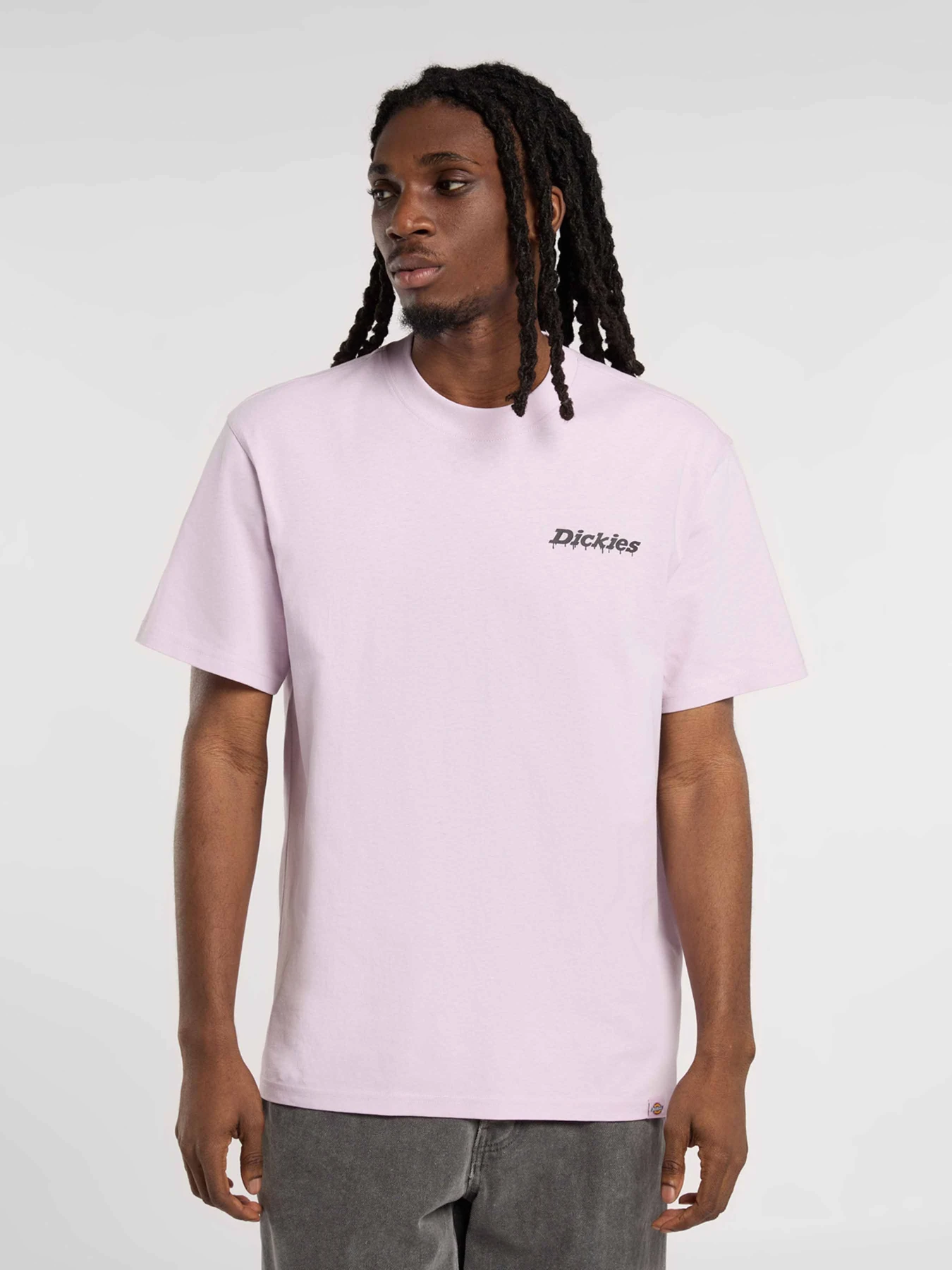 Футболки и поло Dickies STATESVILLE модель DK0A87QPK731 Футболки и поло Dickies STATESVILLE модель DK0A87QPK731 Фото