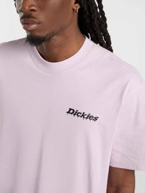 Футболки и поло Dickies STATESVILLE модель DK0A87QPK731 Фото