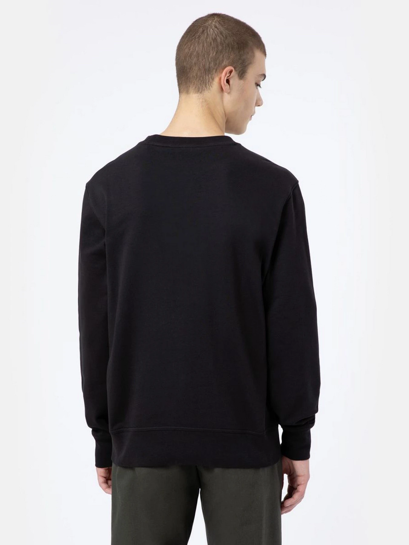 Худі та світшоти Dickies Mount Vista модель DK0A4XPPBLK1 Фото