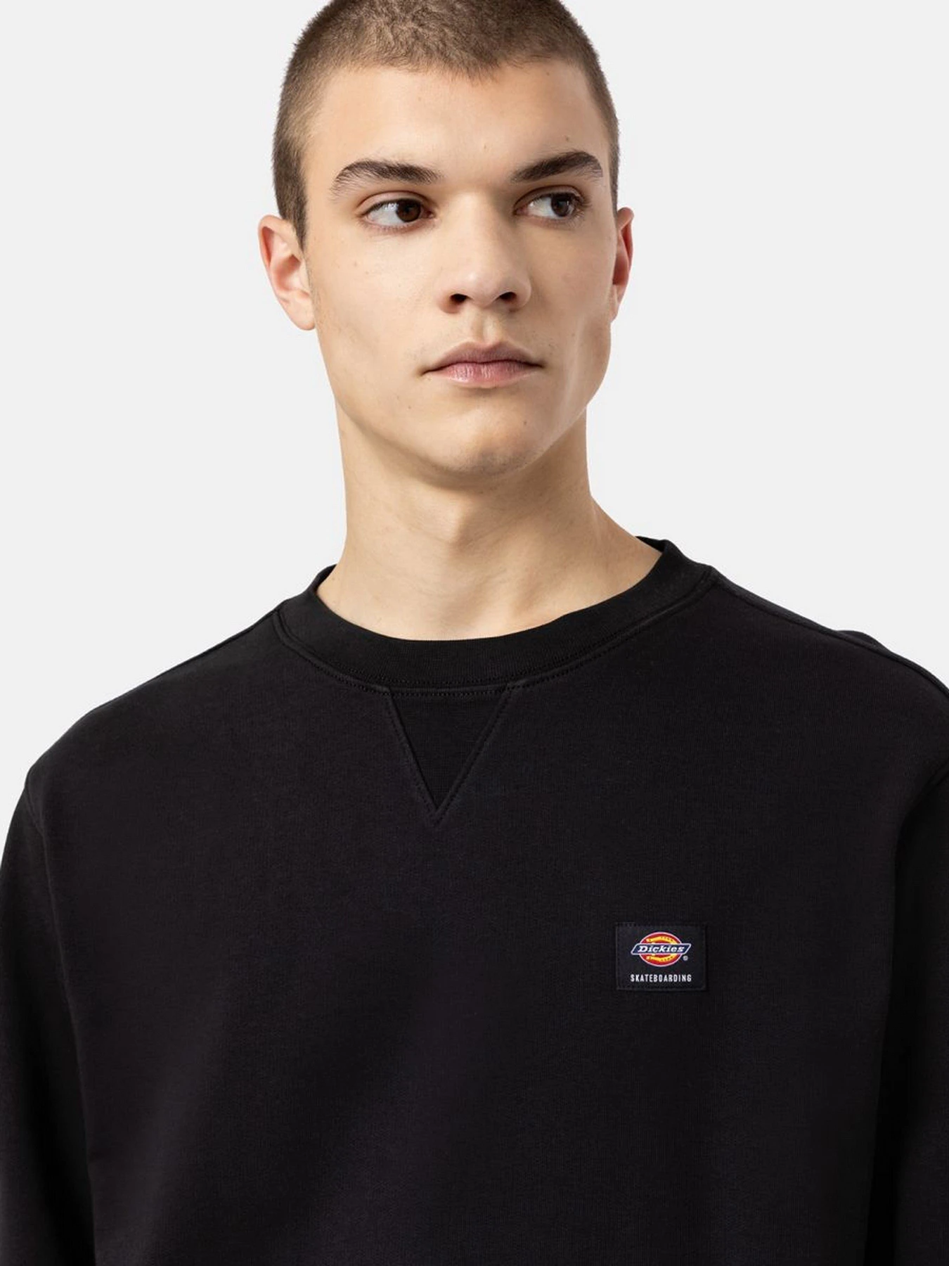 Худі та світшоти Dickies Mount Vista модель DK0A4XPPBLK1 Фото