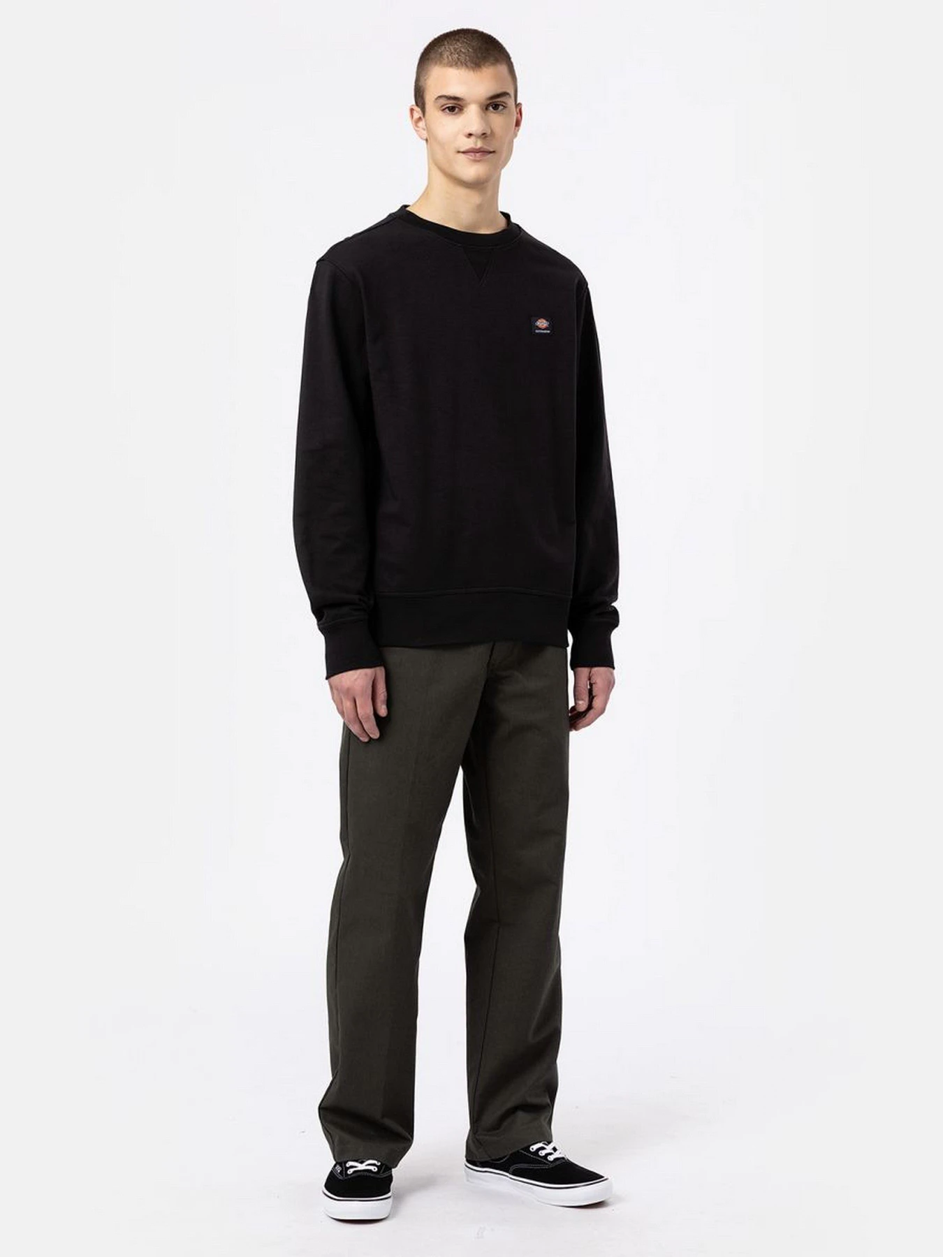 Худі та світшоти Dickies Mount Vista модель DK0A4XPPBLK1 Фото