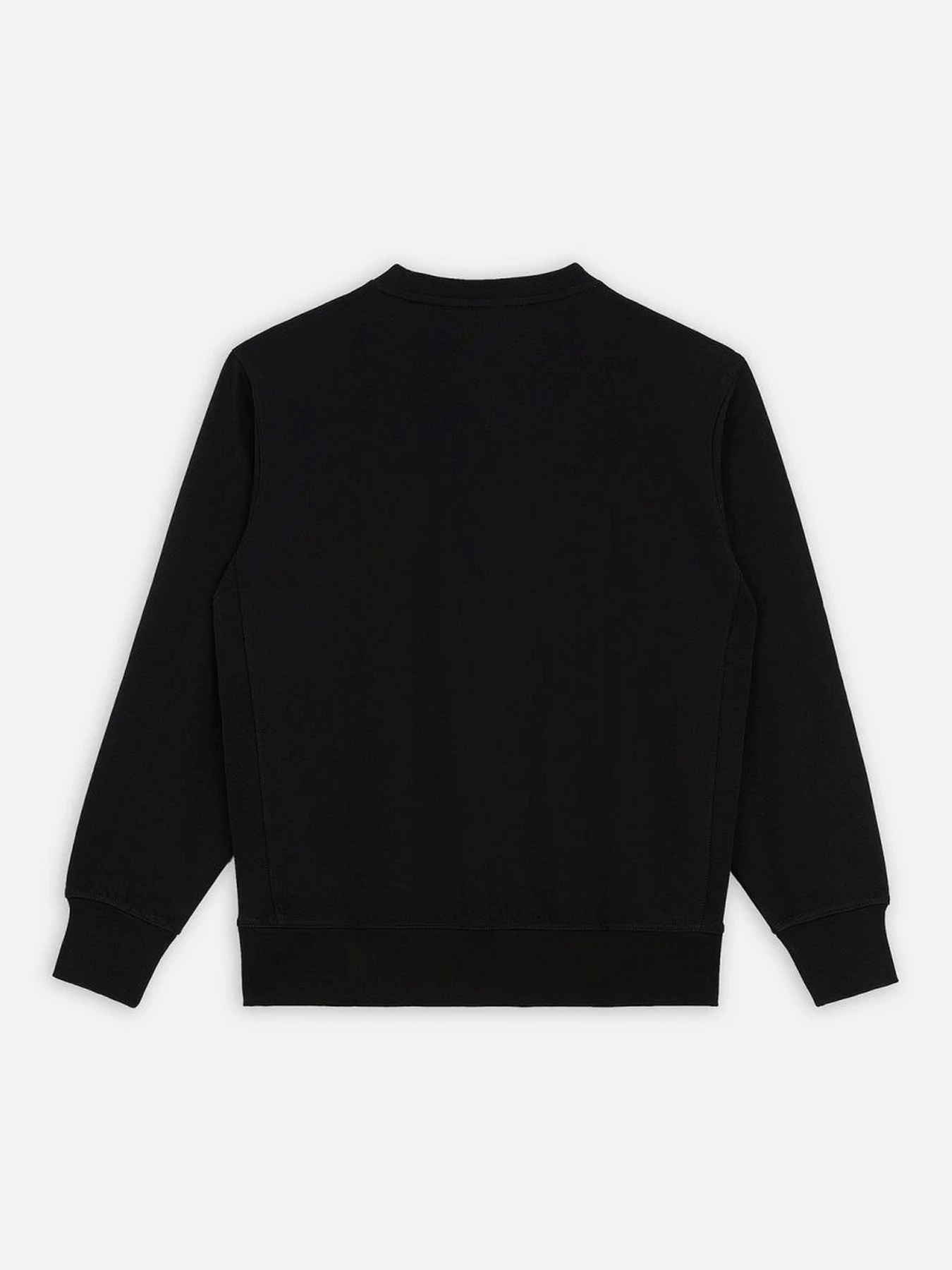 Худі та світшоти Dickies Mount Vista модель DK0A4XPPBLK1 Фото