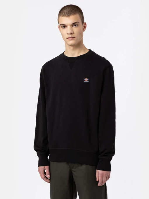 Худі та світшоти Dickies Mount Vista модель DK0A4XPPBLK1 Фото