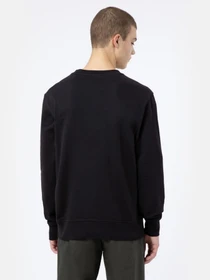 Худі та світшоти Dickies Mount Vista модель DK0A4XPPBLK1 Фото