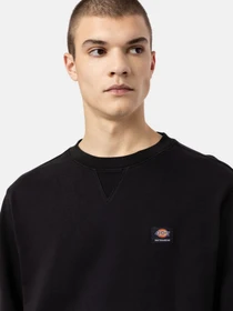Худі та світшоти Dickies Mount Vista модель DK0A4XPPBLK1 Фото